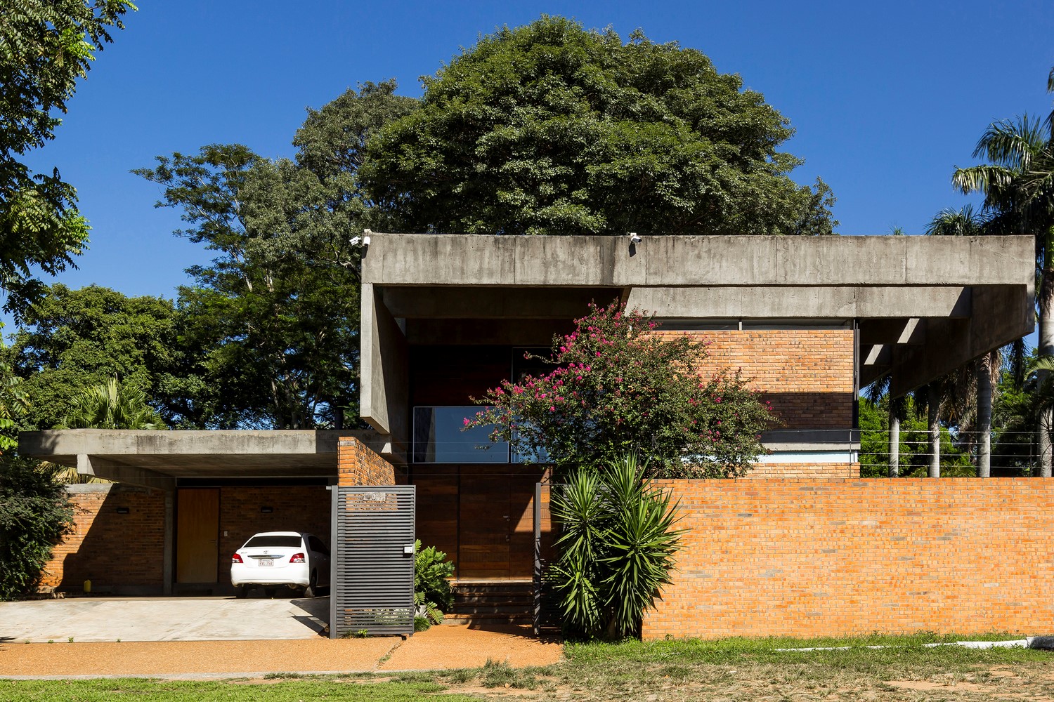 房子之间的树-8