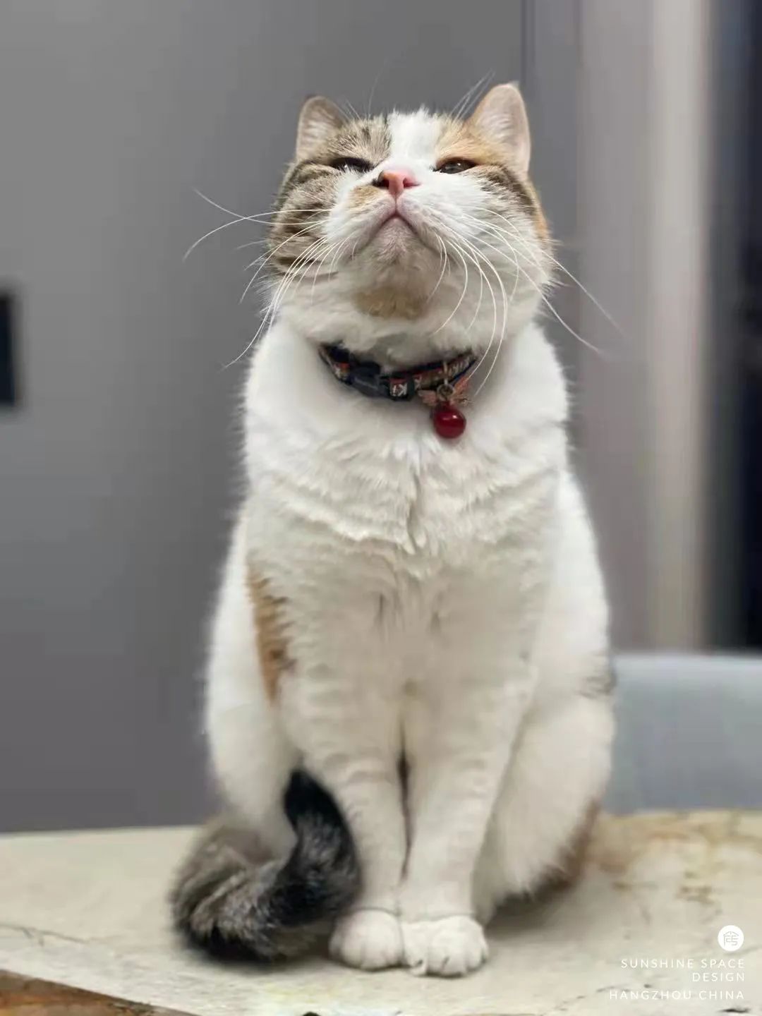 杭州精英女青年的个性梦想家丨中国杭州丨祁丽萍,俞灵慧-52