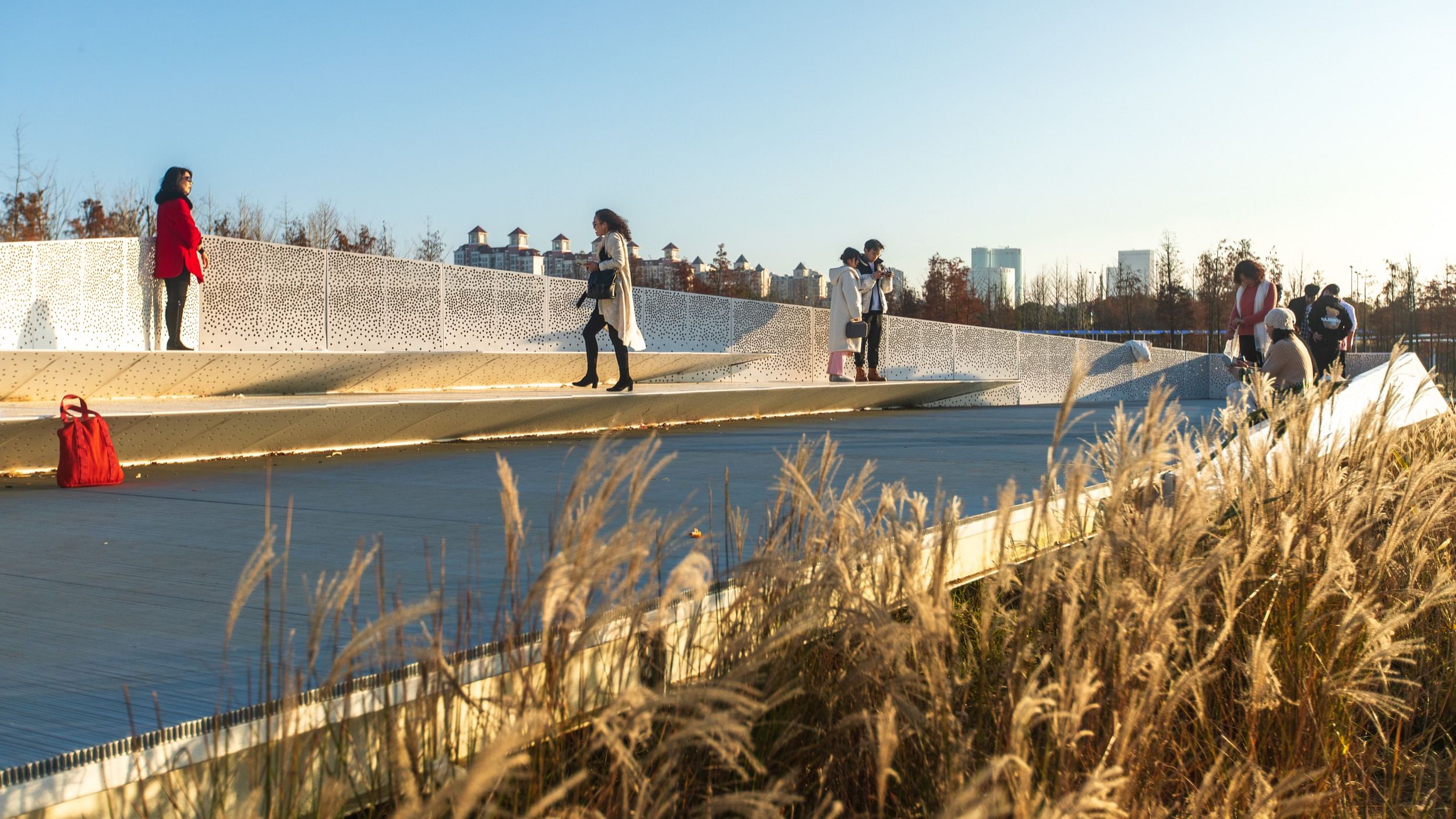 鱼尾巴公园（Fish Tail Park）丨中国南昌丨北京土人景观（Turenscape）-24