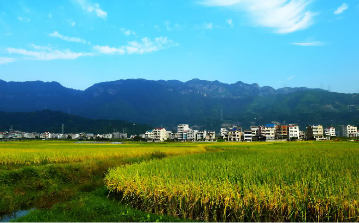 湖南益阳璞轩餐饮空间设计 | 融合山水竹茶文化的现代美学-20