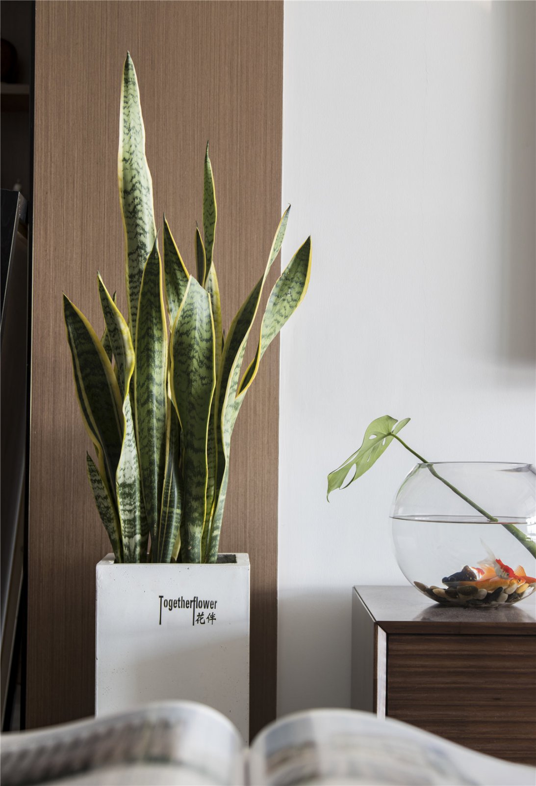 绍兴现代北欧风 | 温暖简约的浪漫生活-10