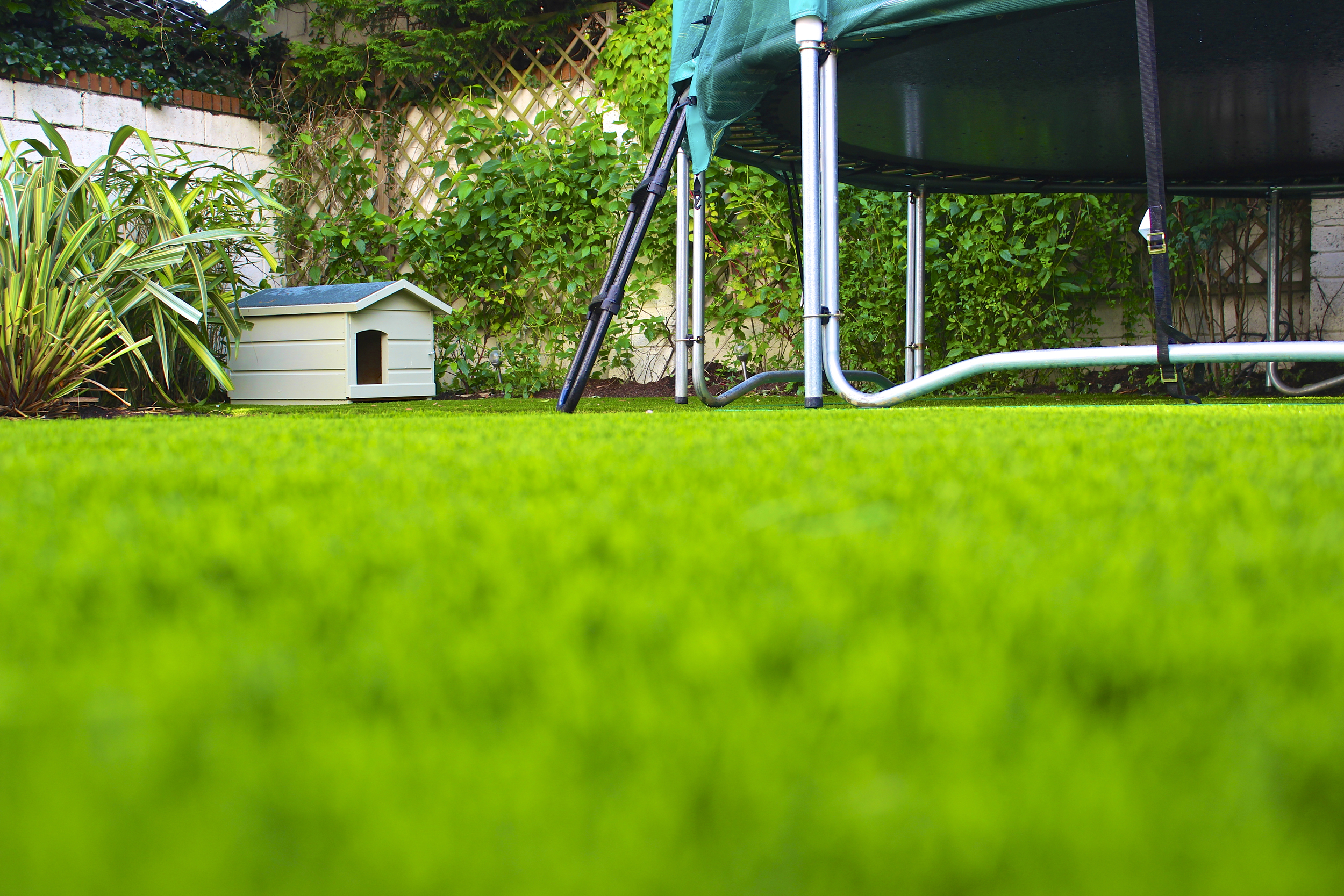 Fo·rock家庭花园人造草坪景观项目-0