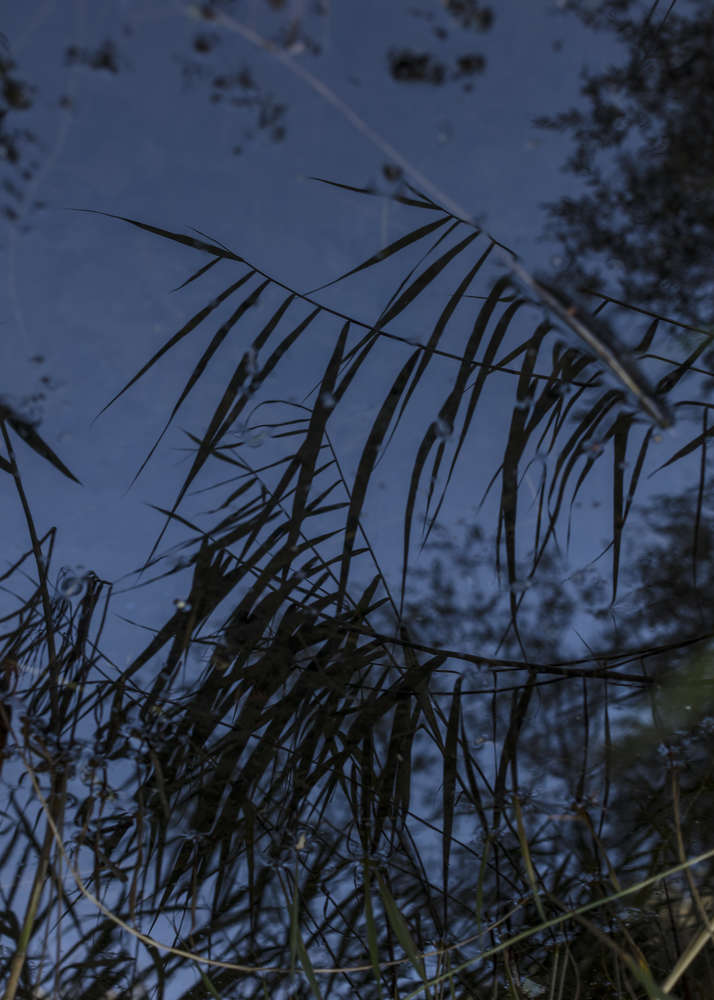 瓦利斯三年展

注：Triennale常见指三年展，Valis不太明确其具体含义，如果它是特定人名、地名、品牌名等，需结合具体背景确定更合适的译法，这里暂按字面音译处理 丨瑞士-31