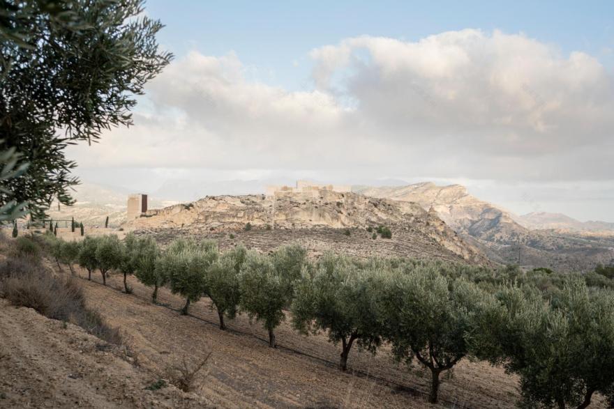 西班牙 Jijona 塔格罗斯城堡翻修-10