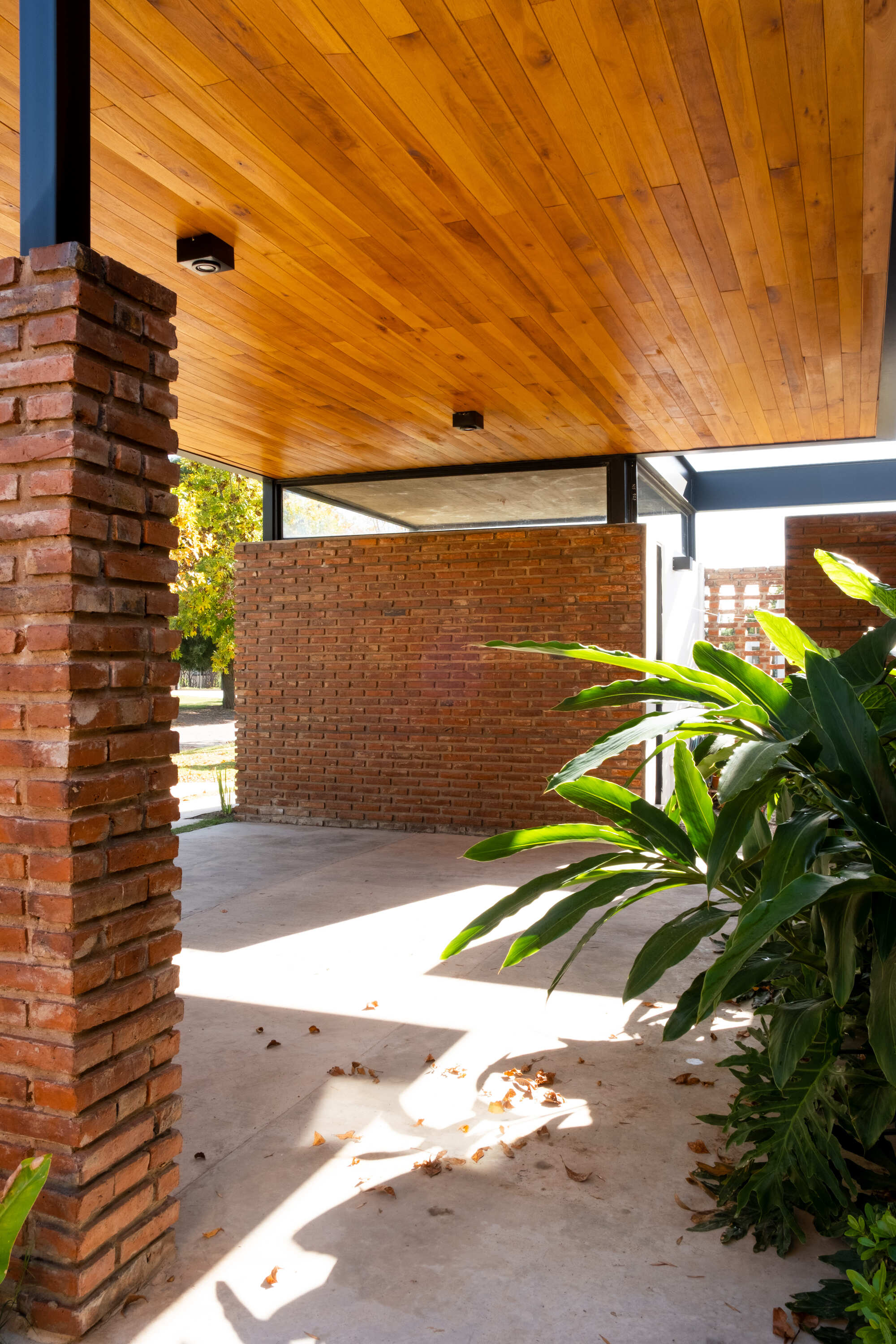 丨阿根廷布宜诺斯艾利斯-12