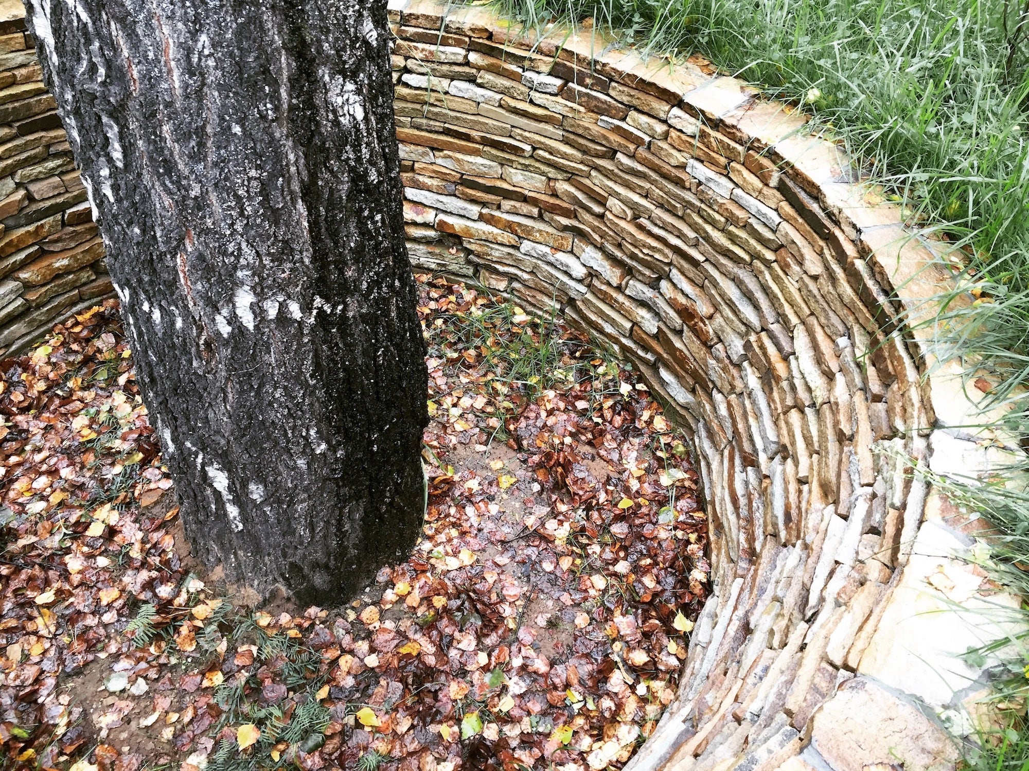 莫斯科北部童话森林湖景-27