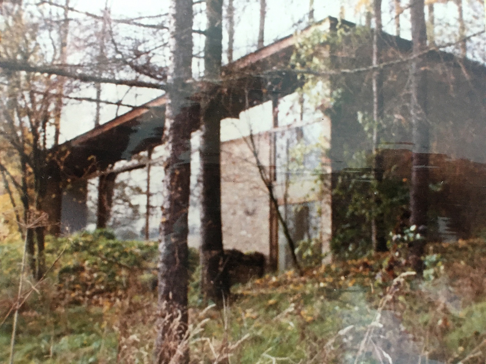 Kelleveld 住宅改造丨比利时丨Mamout architectes-11