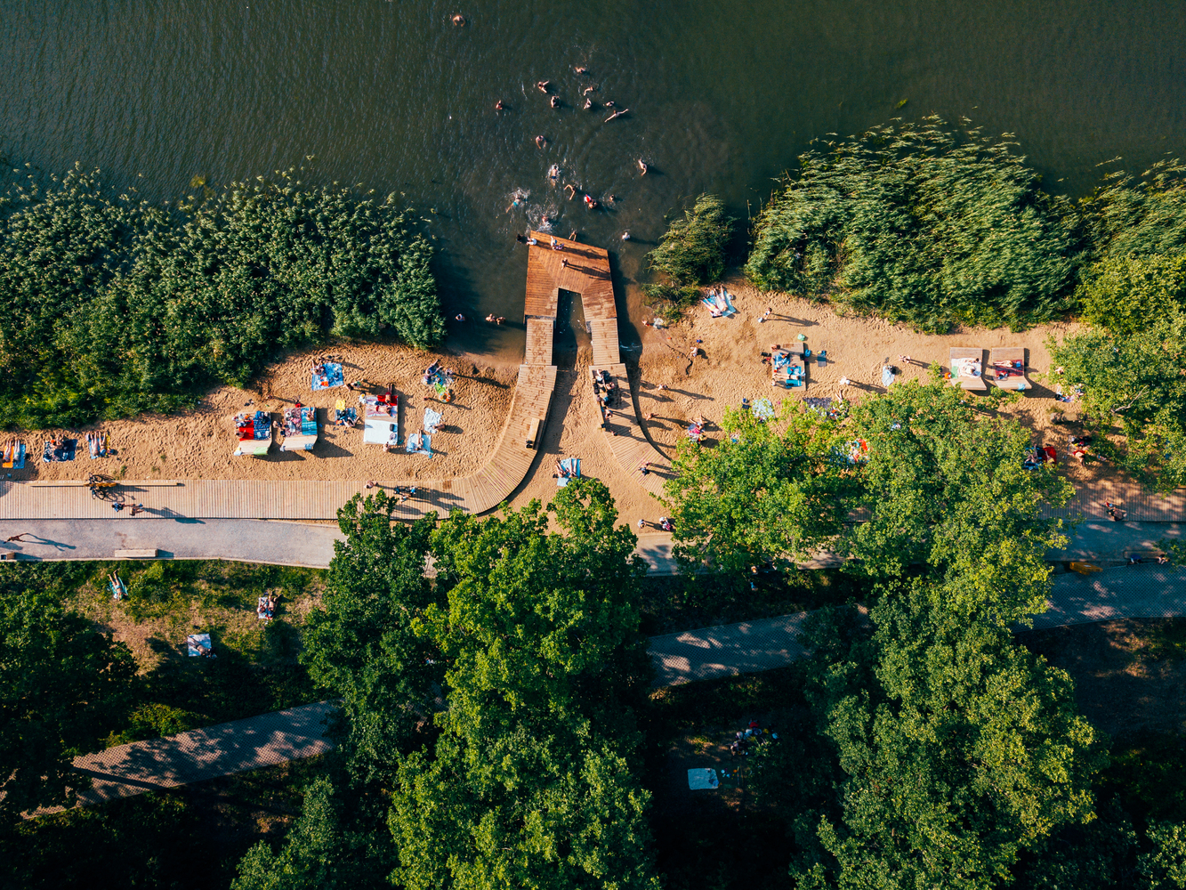 俄罗斯森林公园"自然++ 文化"设计-10