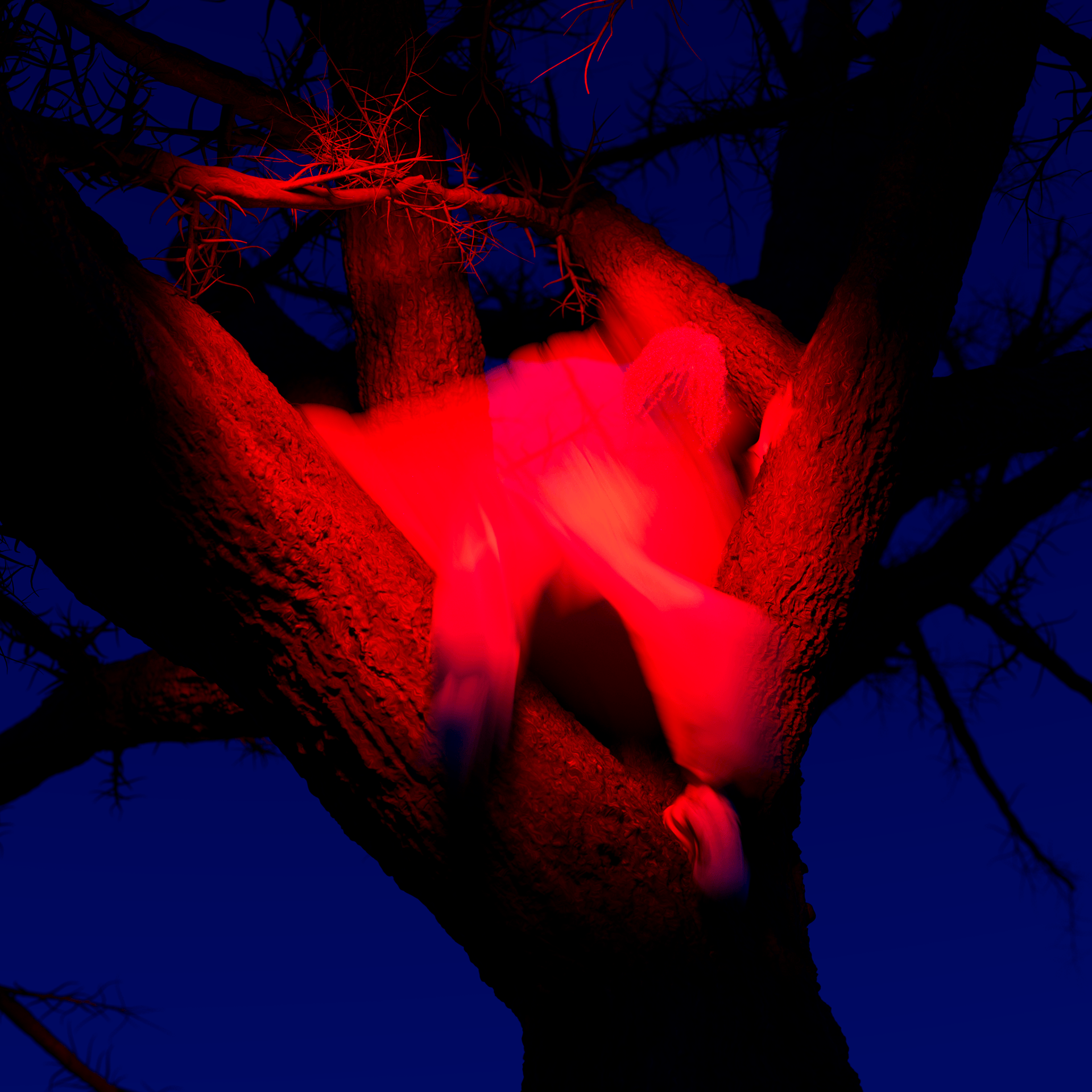 奢华系列FW024·宣传活动-21