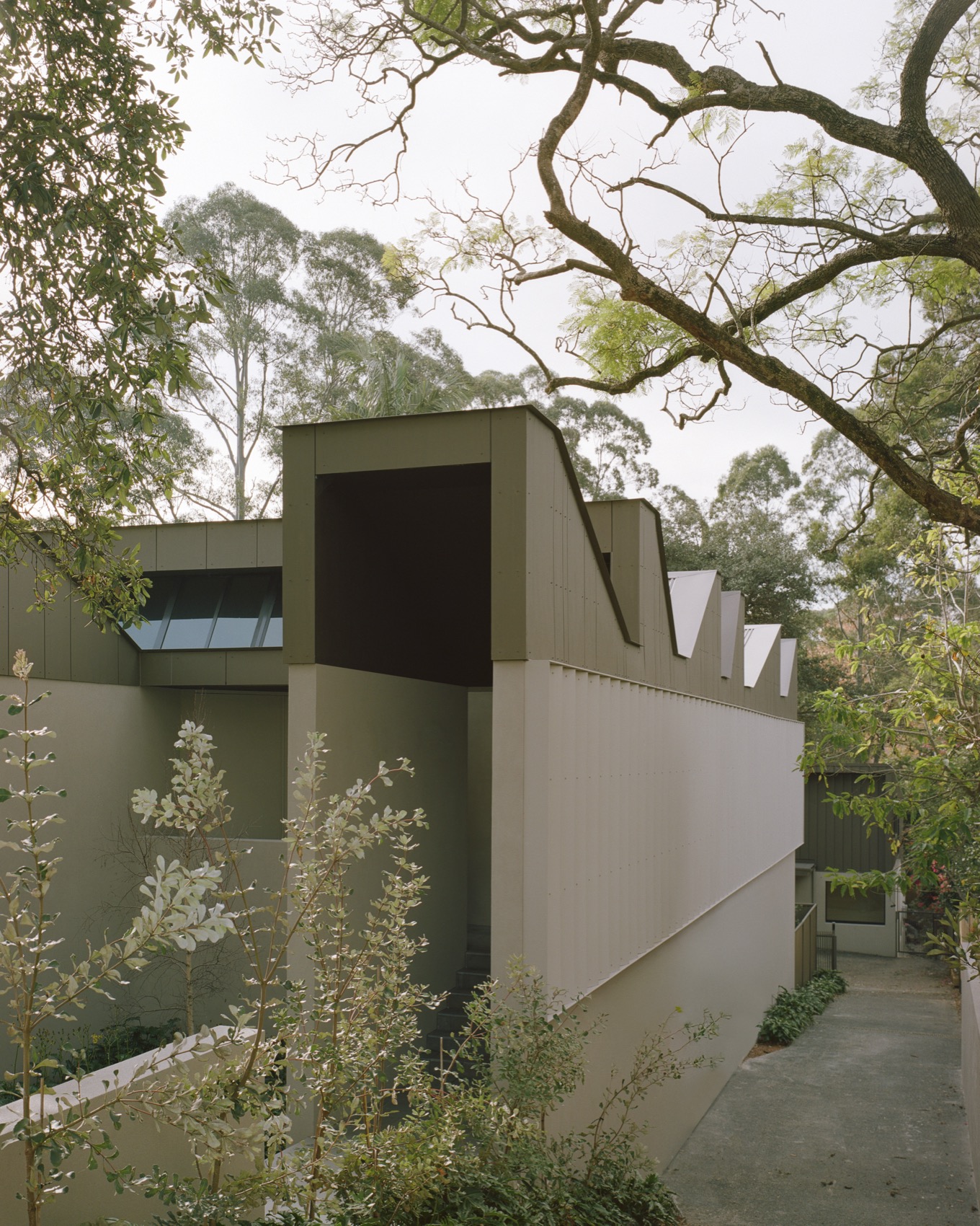 Lane Cove住宅丨澳大利亚悉尼丨Lachlan Seegers Architect-12