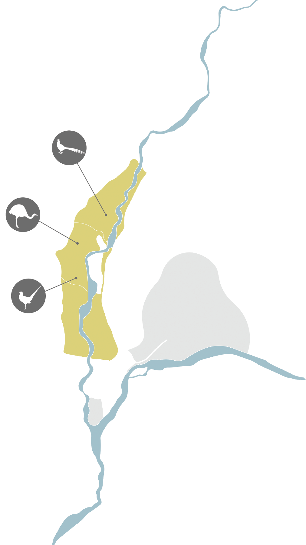 四川卧龙大熊猫自然保护区总体规划 | 让大熊猫回家的设计之路-29
