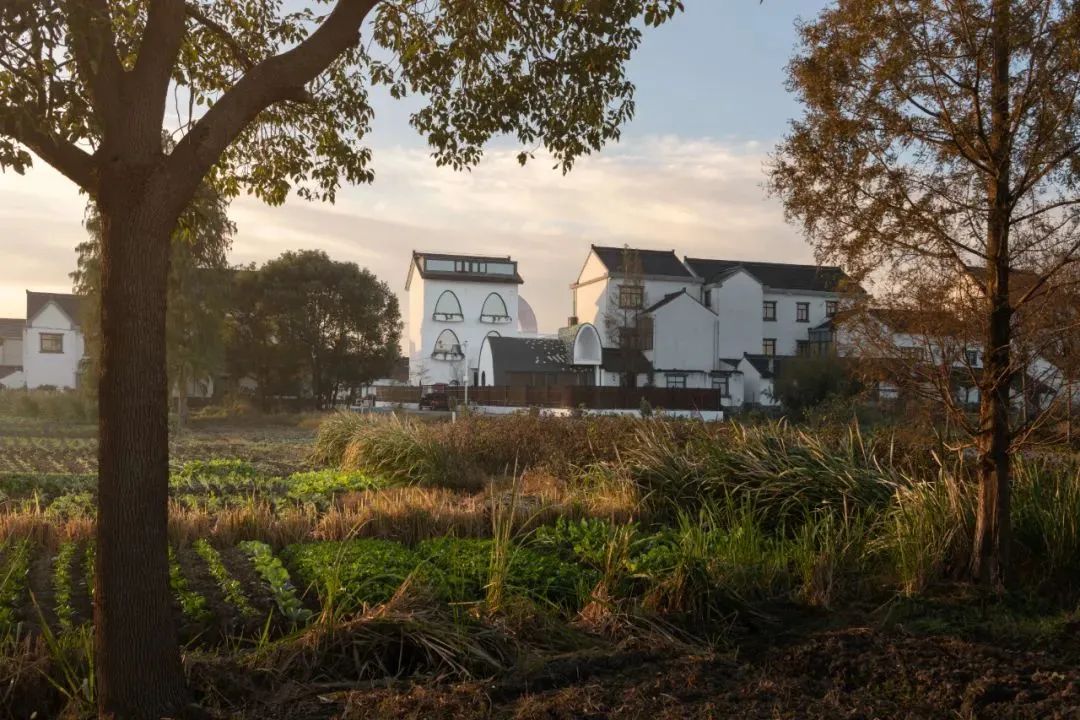 杏院–望远山居丨中国福建丨厦门泛华设计·回应建筑工作室(RESP Studio)-152