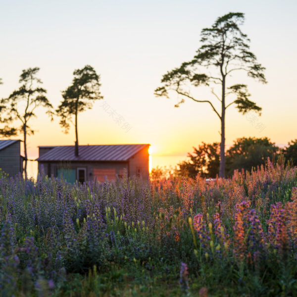 丨瑞典哥得兰丨Tengbom-30