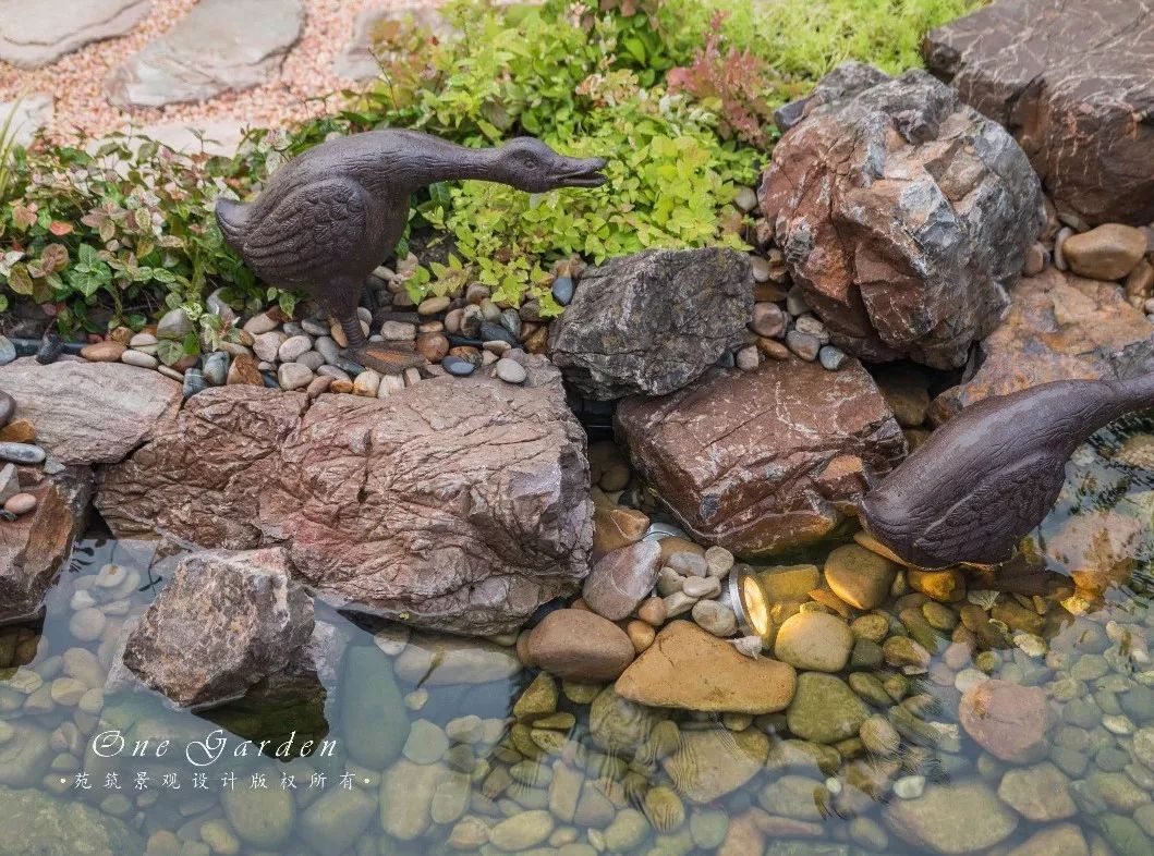 佘山自然梦花园 | 四季美景与家人相伴-59