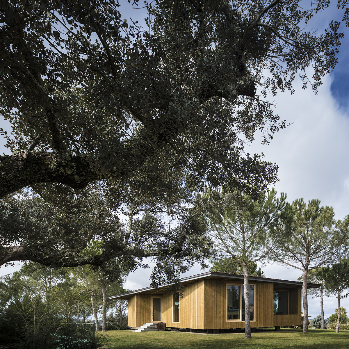 Barrocas 住宅扩建丨葡萄牙丨Carlos Castanheira-111