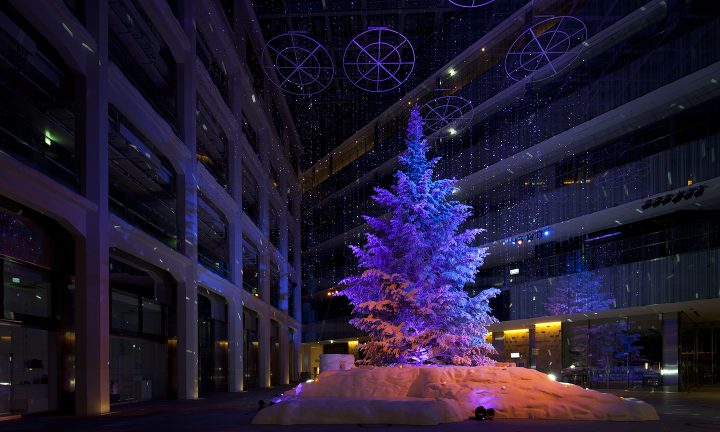 WHITE KITTE  Suppose Design-1