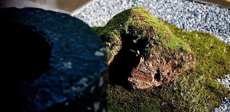 岁集深圳旗舰店 | 东方气质与现代生活共融-13