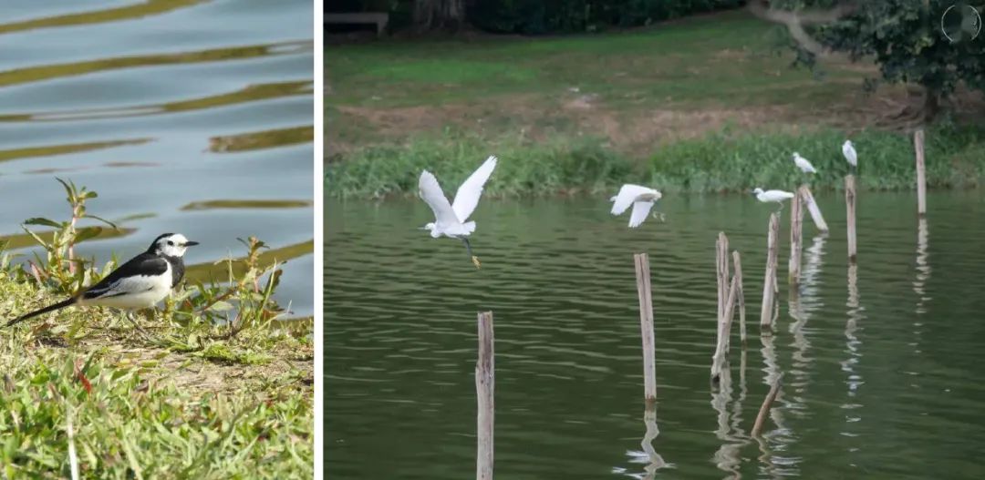 东莞松山湖通湖礼廊二期丨中国东莞丨Instinct Fabrication 本色营造-81