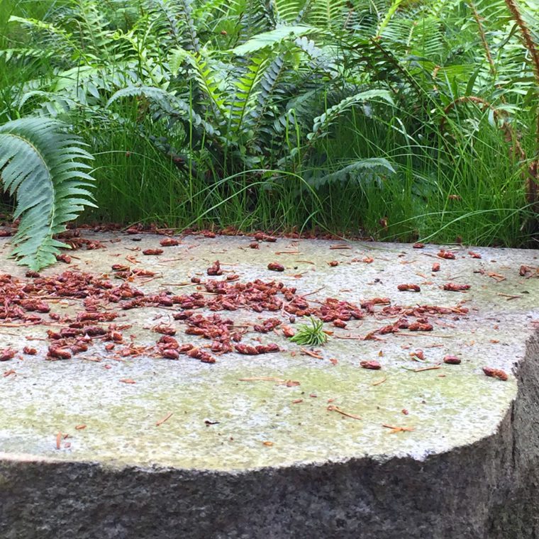 度假民宿丨英国德比丨Berger Partnership-16