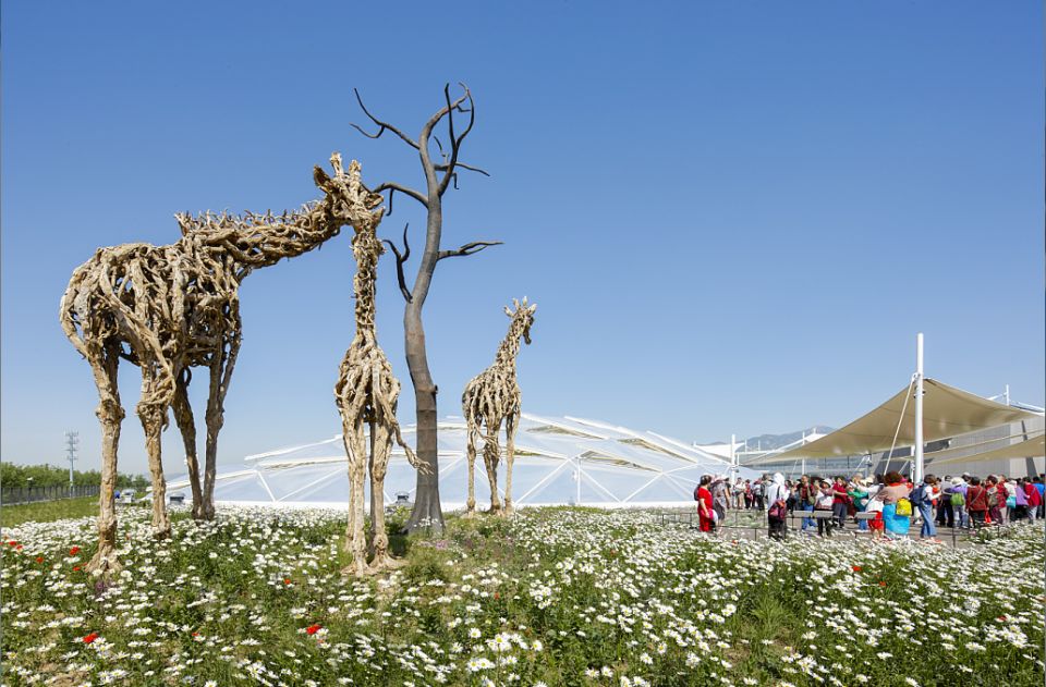 2019北京世界园艺博览会植物馆-49