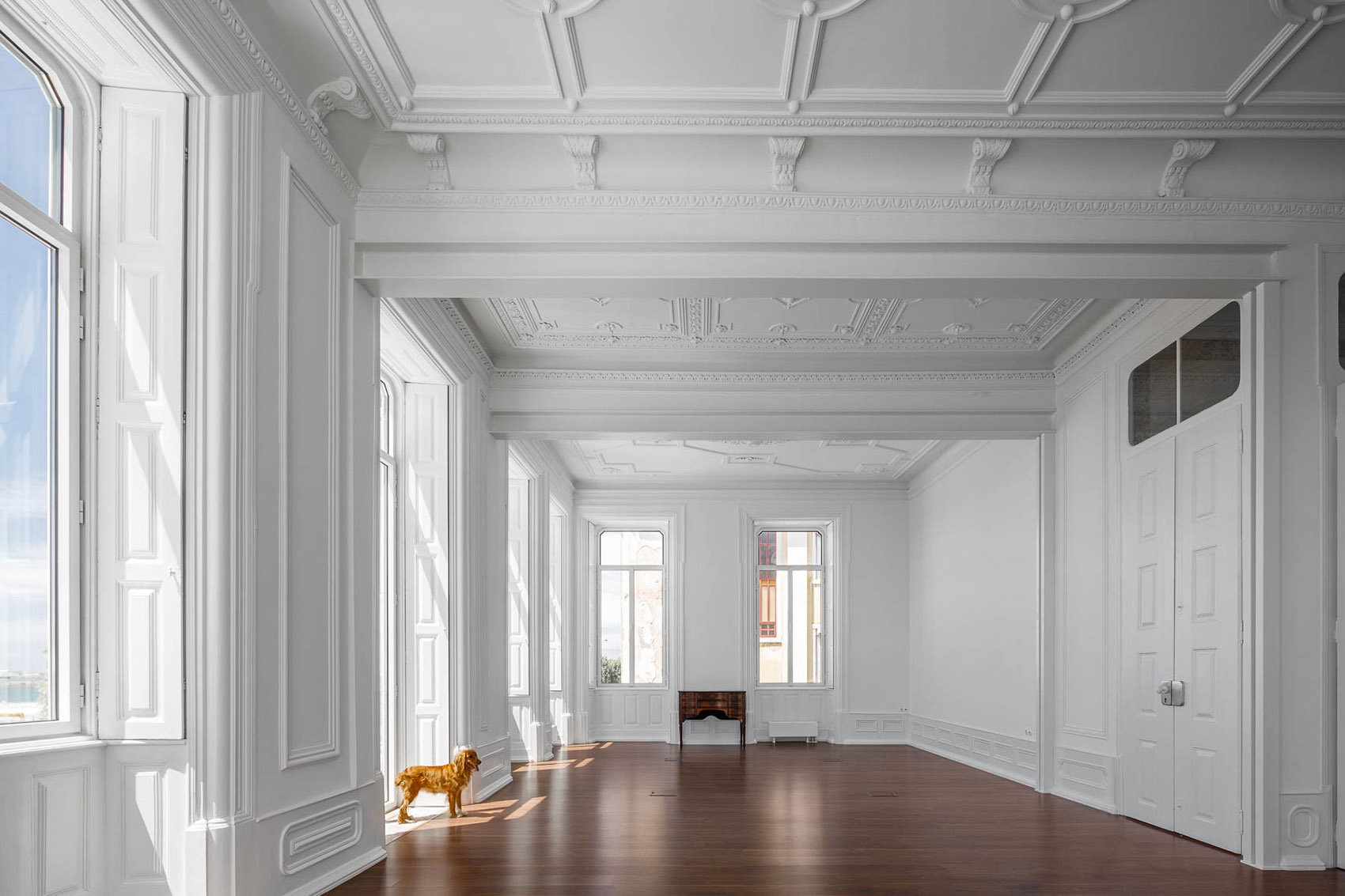 葡萄牙百年的老宅改造的办公楼丨danielmsantos,eng + arq 事务所-97