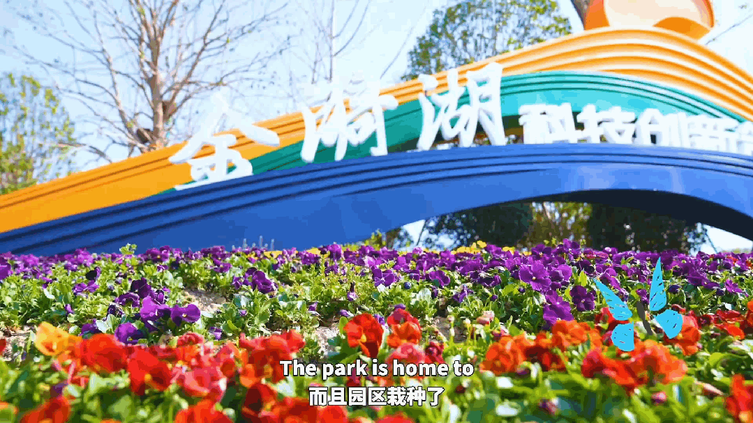 诺拉的“中国建造”行|当科技听见7平方公里的“呼吸”-8