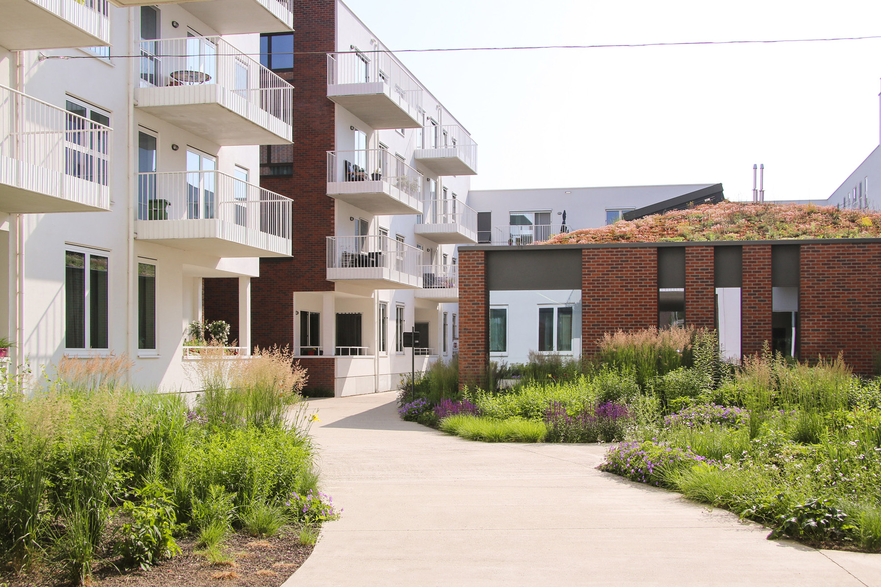 Stadsvernieuwingsproject ‘Ecodroom’ – Geel — Archiles architecten-6