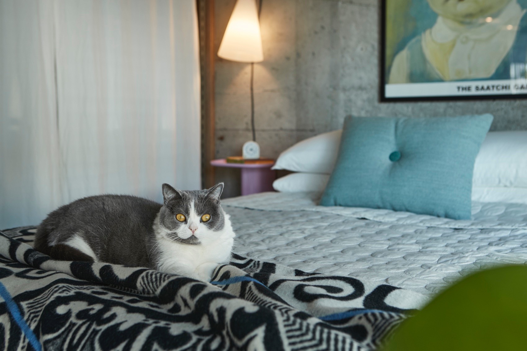 东京蓝色公寓，日本 / Roovice-66