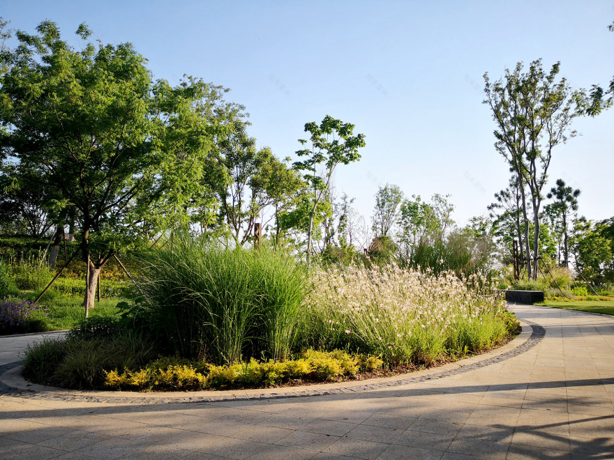 新加坡·南京生态科技岛-35