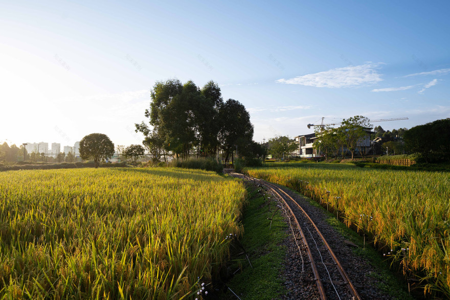 丘山阅田园文化村丨乐道景观-138
