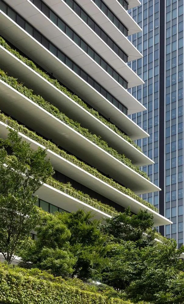 东京·虎之门之丘住宅塔丨日本东京-115