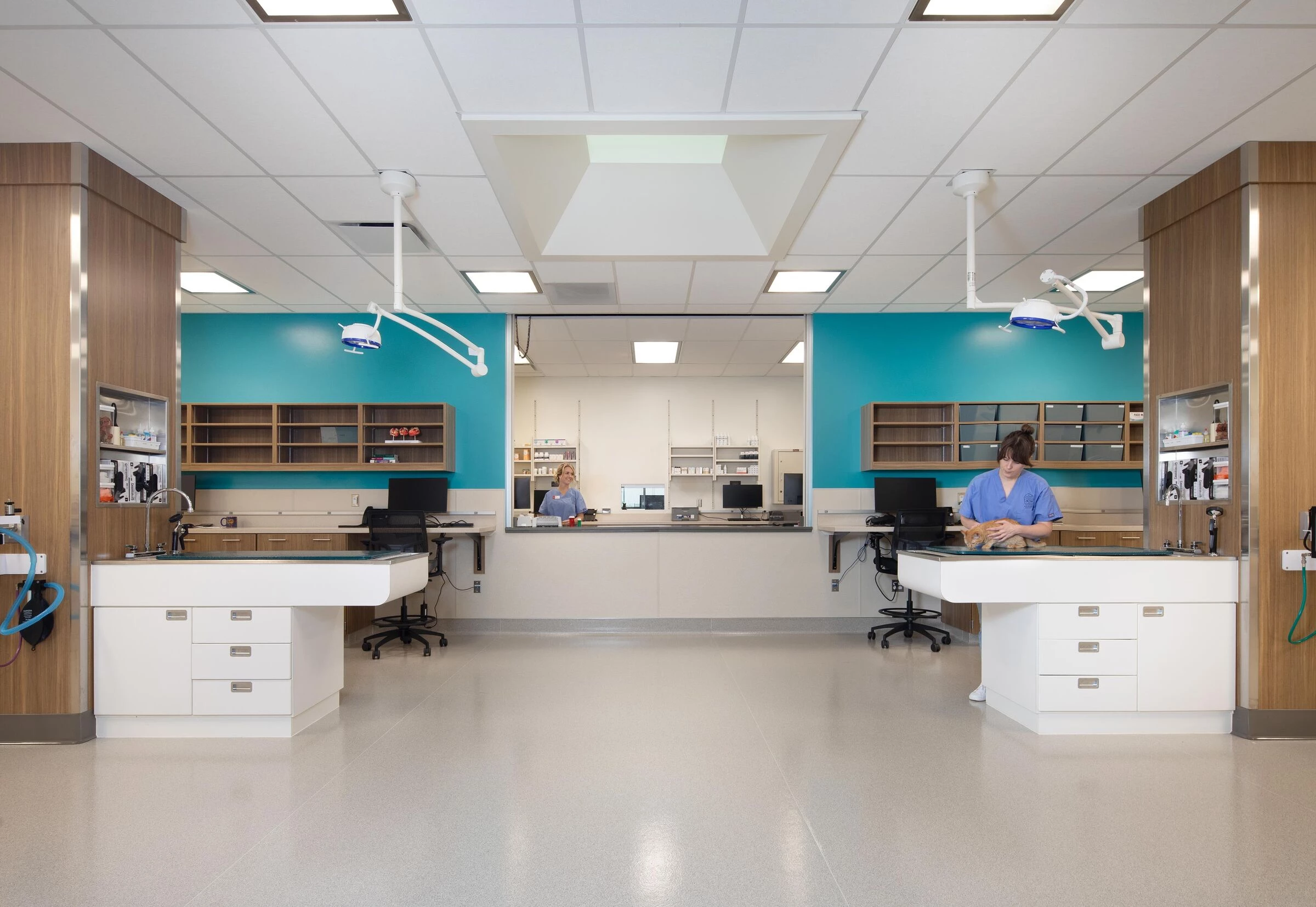 俄勒冈人道协会丨美国波特兰丨Scott Edwards Architecture-14