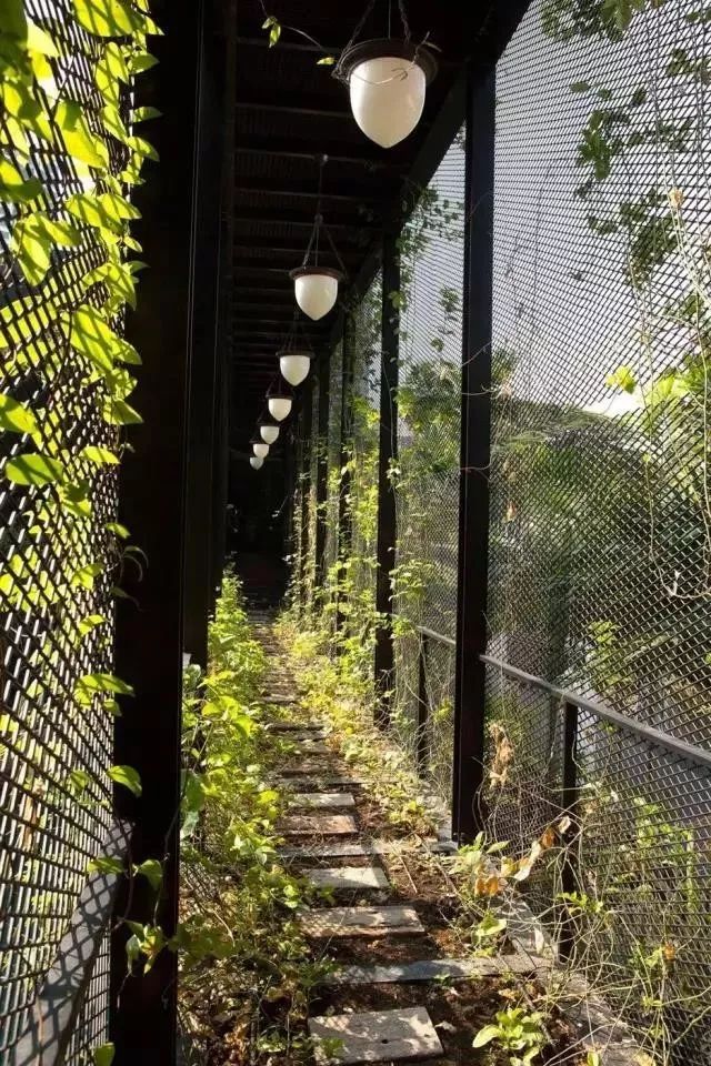 为了孩子，他们专门在城市上方建了一所会呼吸的房子！-105