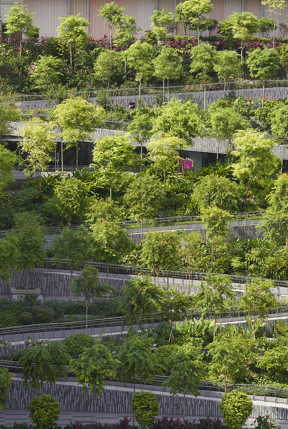 Oasis Terraces社区中心和医院,新加坡 / Serie Architects + Multiply Architects-21