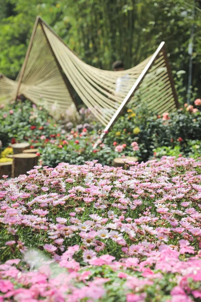 2021粤港澳大湾区深圳花展 | 未来花园展③溯园-27