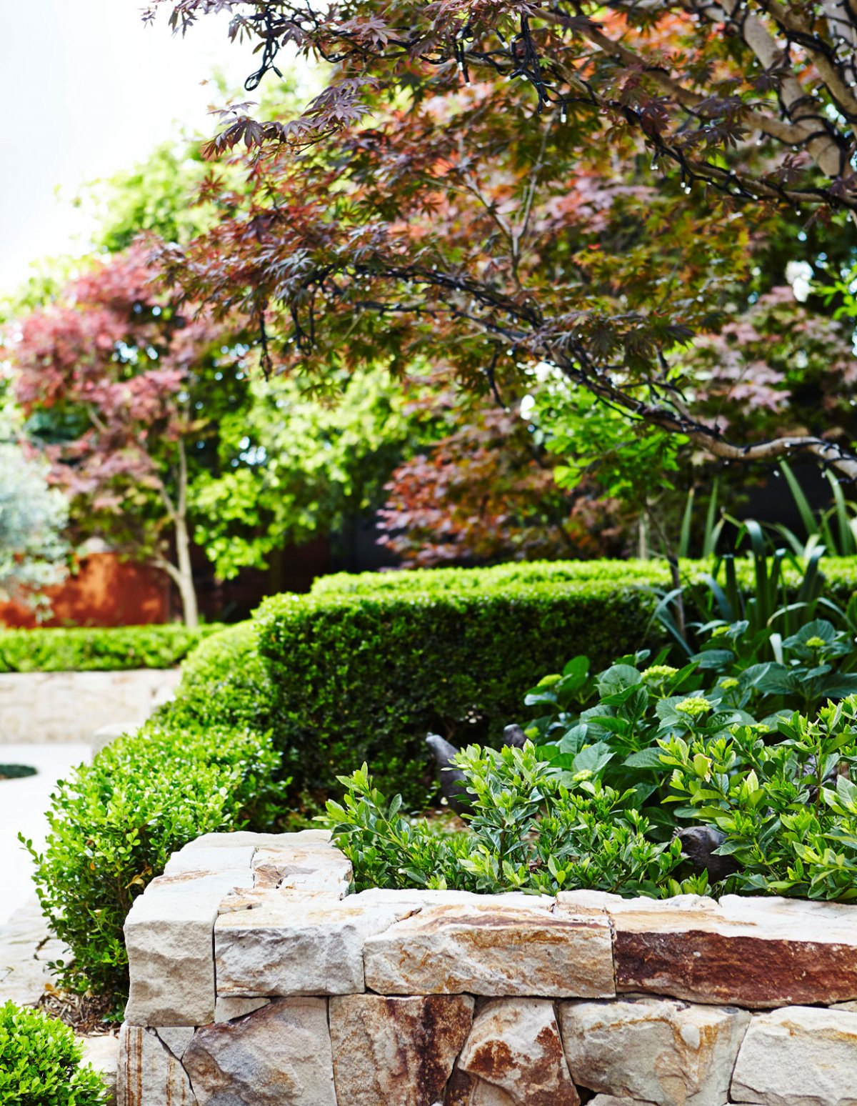 悉尼原生态花园住宅，户外设计典范-6