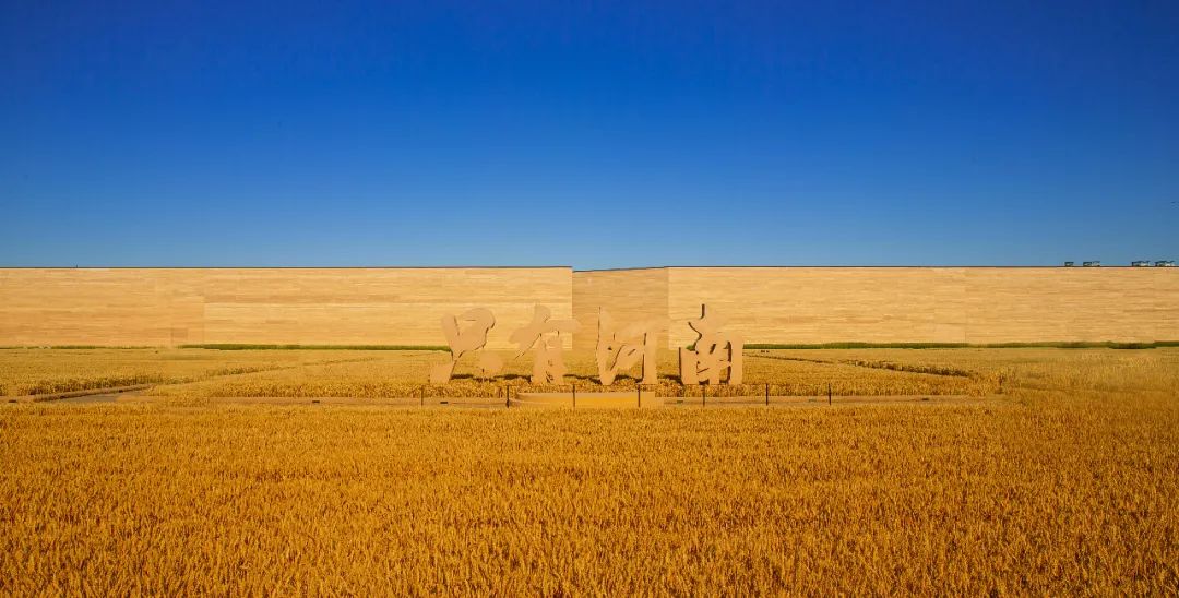 只有河南·戏剧幻城丨中国郑州丨吕元祥设计,永续设计等-30