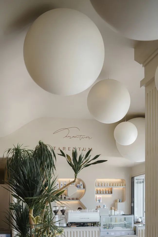 TARENTUM 萄木丨中国深圳丨RBD DESIGN BOX 瑞本设计-84