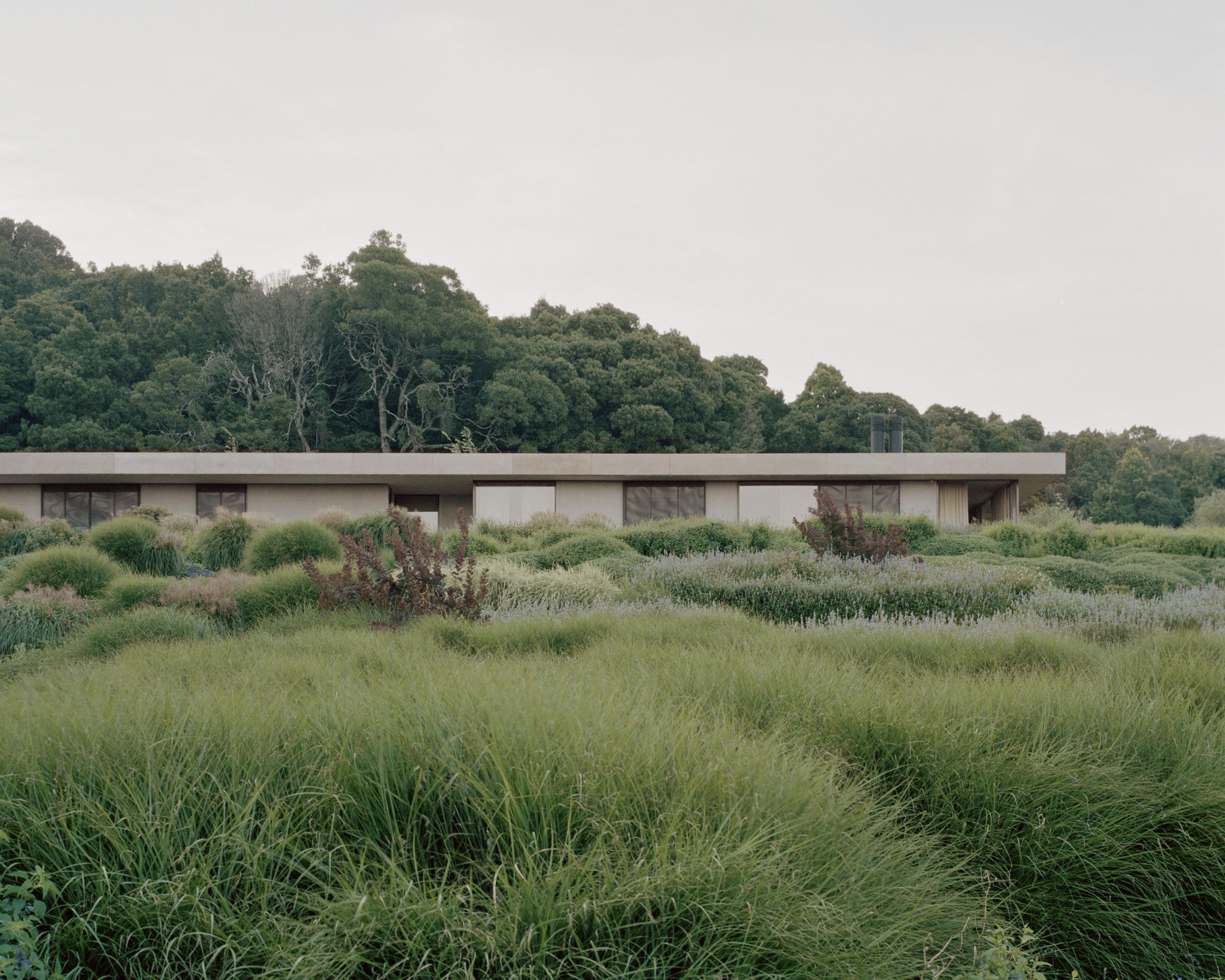 帕洛玛丨澳大利亚悉尼丨Fearon Hay-8