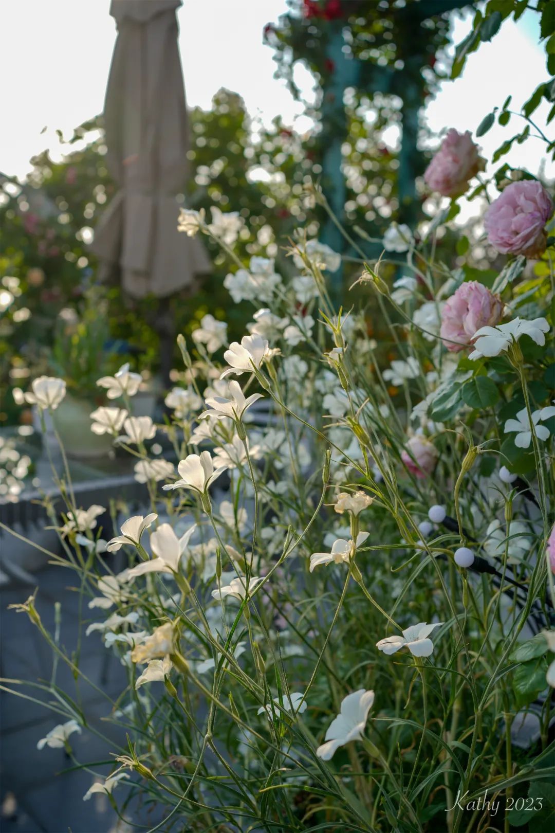 一米花园丨中国上海丨专业设计团队-51