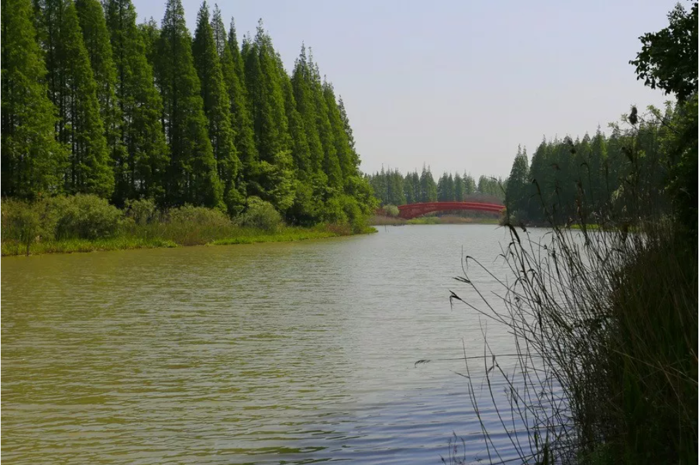 西咸新区渭河湿地公园 | 水生态修复与地域文化融合的典范-52