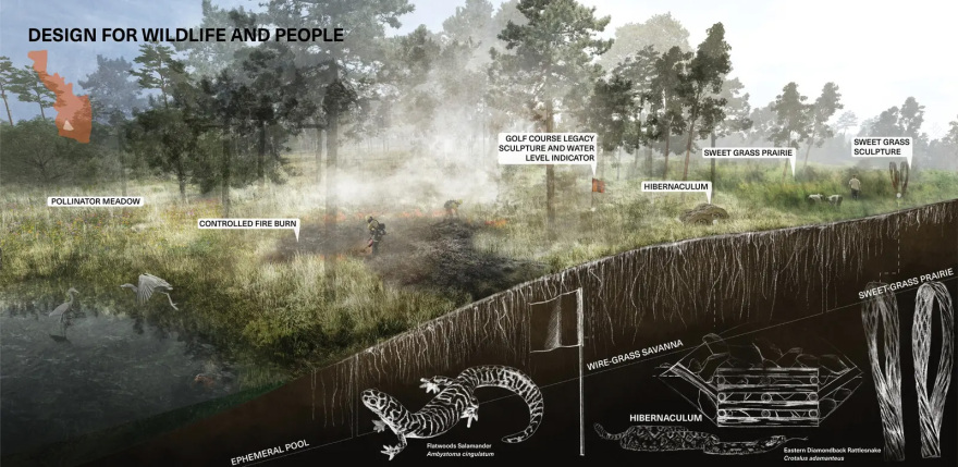 试验场:从高尔夫球场到屏障岛生态系统丨美国丨Design Workshop,Inc.-39