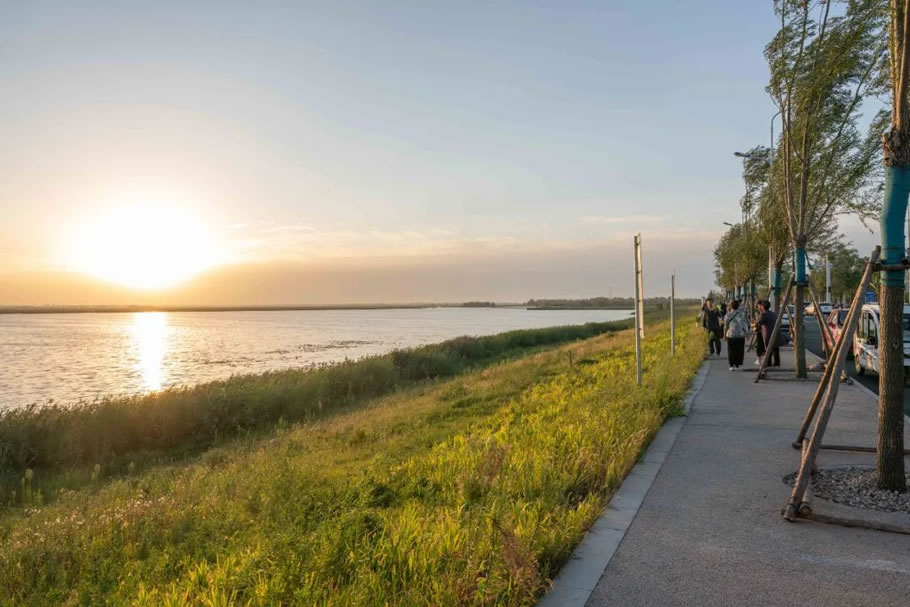 雄安白洋淀水岸公园景观设计丨TLS景观设计事务所-44