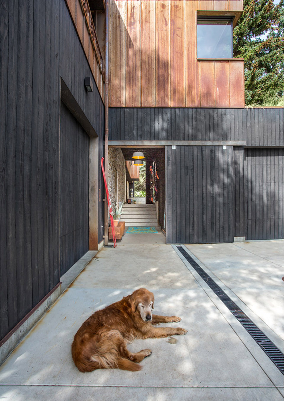 帕克市住宅,美国 / Sparano + Mooney Architecture-36