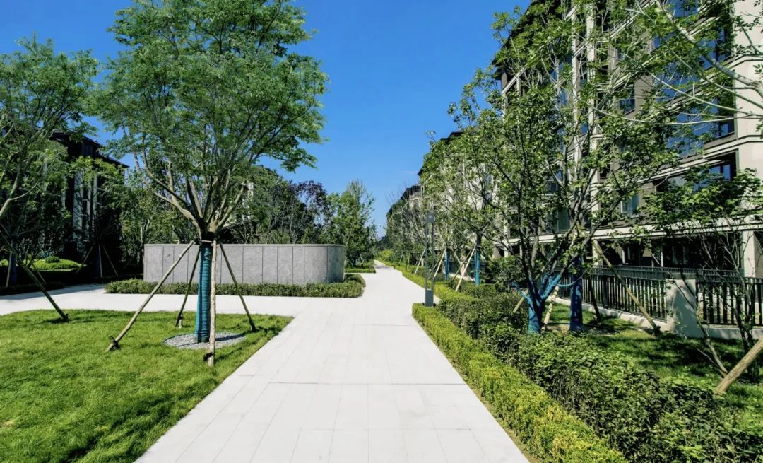 归心交付｜融创·盛京宸院 集院韵文心续著北方脊梁-29