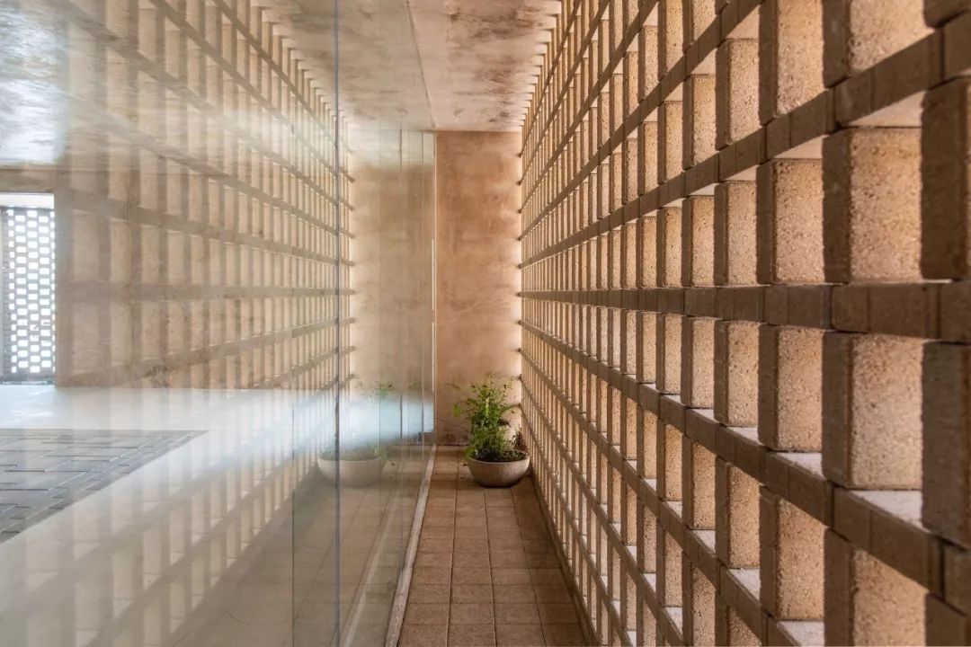 TACO 建筑探寻归属感 | 墨西哥梅里达的多学科设计实践-56