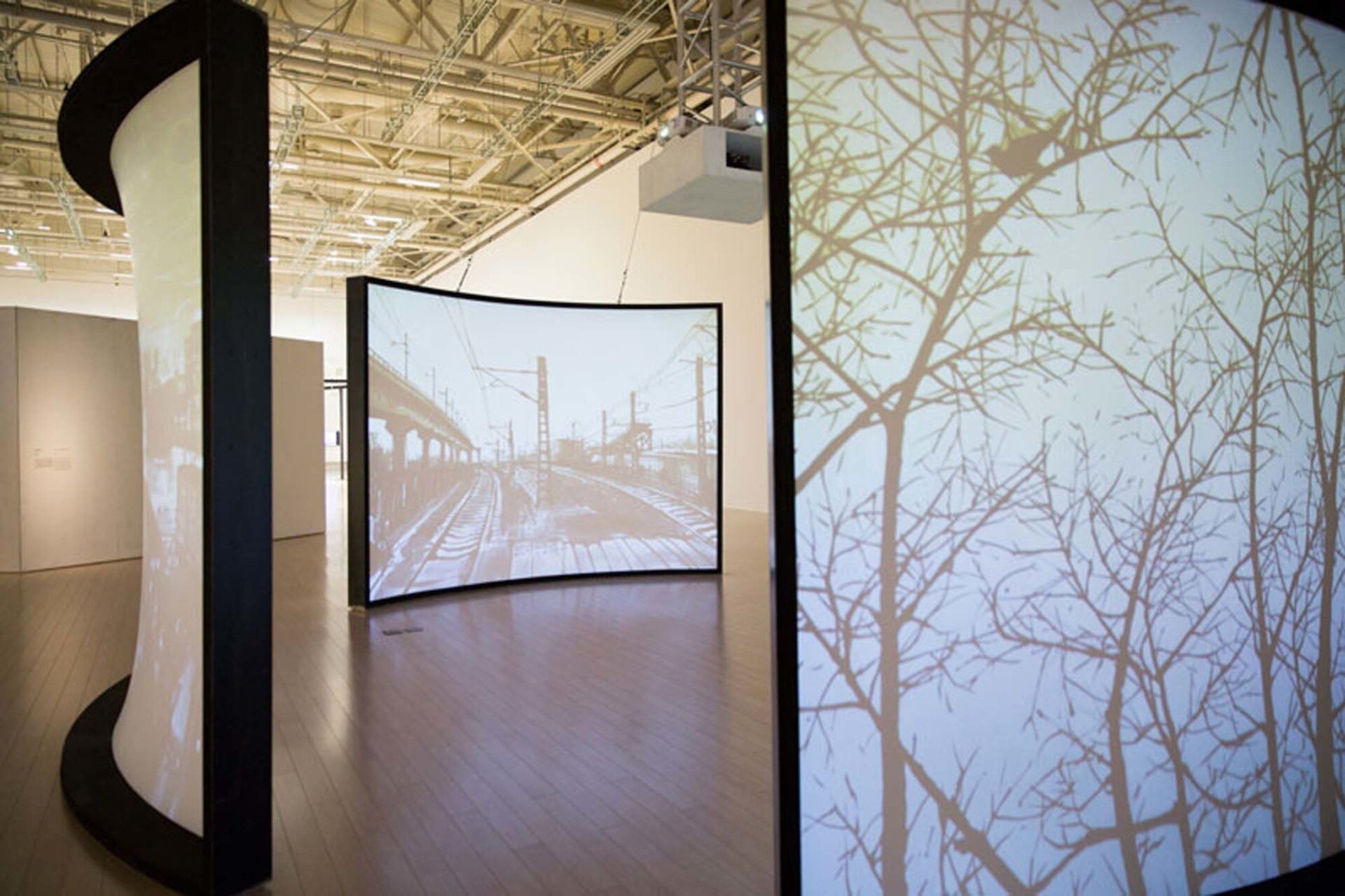 2018 悉尼双年展艺术家群像 | 多元化艺术盛宴-32