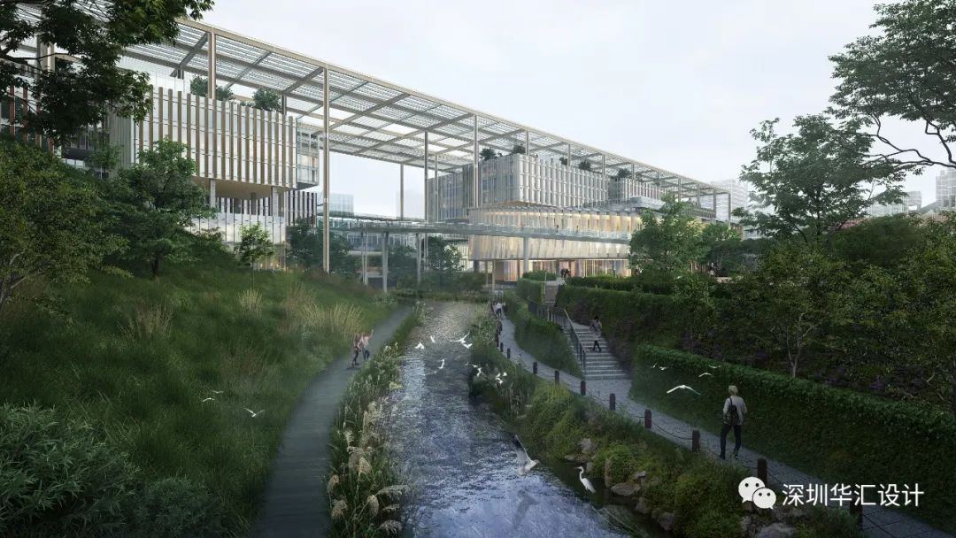 天津大学佐治亚理工深圳学院校区丨中国深圳-24