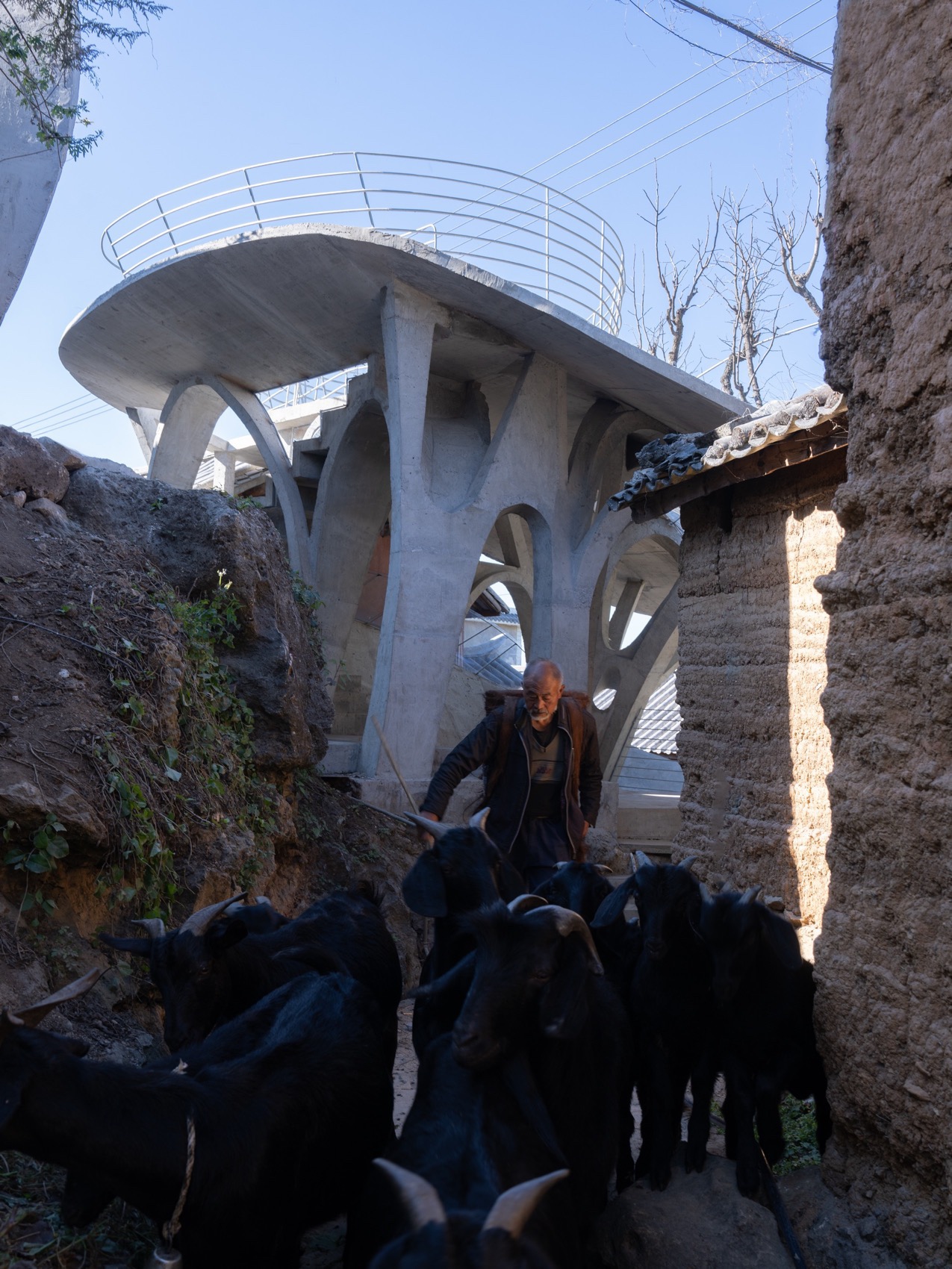 蘑菇蘑菇儿童书屋丨中国大理丨孔祥伟工作室-35