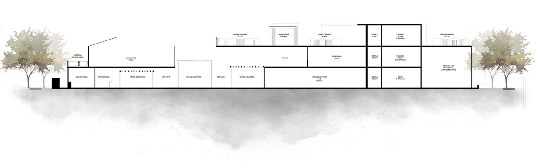 HealTeaFy Yourself  社区老年人中心-22